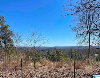 2624 Dolly Ridge Crest Unit 1, Vestavia, AL 35243