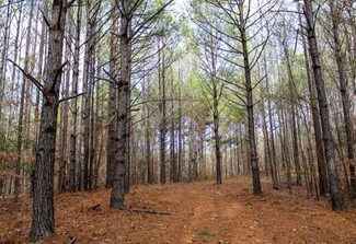 LOT 15 River Crest Ranch, Cordova, AL 35550
