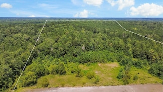 0 County Road 4090, Woodville, TX 75979