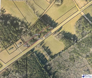 0 Hwy 401 & Outback Cir Unit 20254342, Lamar, SC 29069