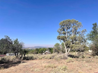 332 E 4th Ave, Nucla, CO 81424