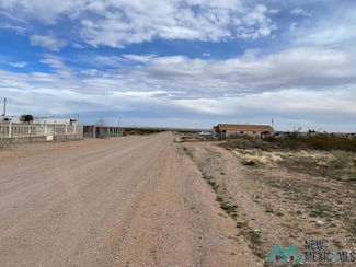 XXX W Buena Vista Ave, Columbus, NM 88029