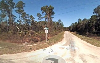 0 Cashew St Unit O6091545, Eustis, FL 32736
