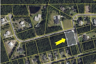 20 Huntington Ct, Walterboro, SC 29488