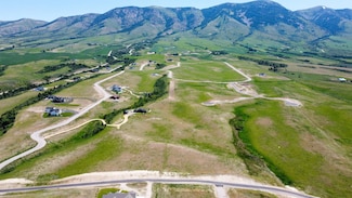 TBD Lot 4 Blk 1 Tamarack, Inkom, ID 83245