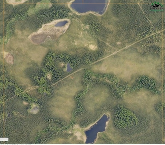 TL 308 SEC31S3E Chena Hot Springs Rd, Fairbanks, AK 99712