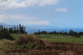 179 Kaluanui Rd Unit LOT 6, Makawao, HI 96768