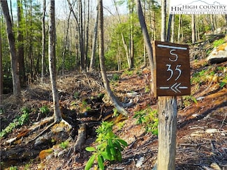 S35 Sky Rock Dr, Banner Elk, NC 28604