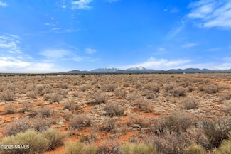 2836 Picacho Way, Valle, AZ 86046