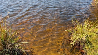 24608 E Long Lake Rd, Bigfork, MN 56628