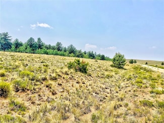 887 Superstition Trail, Hartsel, CO 80449