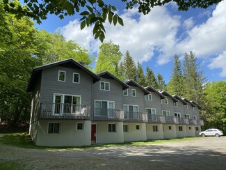 41 Birch Hill Rd Unit Bur Oak 3, Winhall, VT 05340