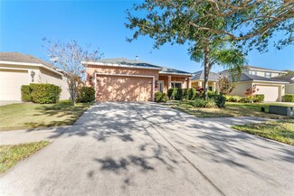 9320 Leatherwood Ave, Tampa, FL 33647