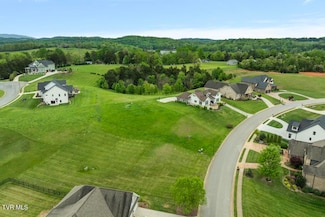221 Forest Ln N, Blountville, TN 37617