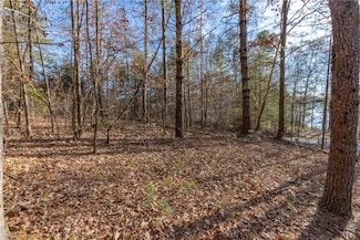 Lot 46 Princess Tree Way, Sunset, SC 29685