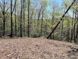 220 Painter Creek Rd, Travelers Rest, SC 29690