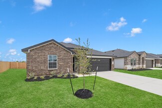 1011 Fringed Bluestar Dr, Rosharon, TX 77583