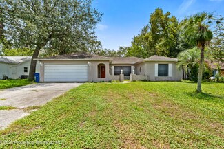 4482 Plumosa St, Spring Hill, FL 34607