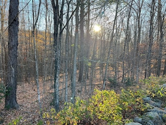 0 Old County Rd Unit 1625715, Woodstock, ME 04219