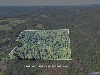 35 ACRES Pine Ridge Rd, Union Grove, AL 35175