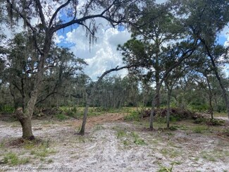 0 Garcia Ln Unit 293000, Frostproof, FL 33843