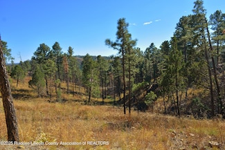 124 Crown Ridge Rd, Alto, NM 88312