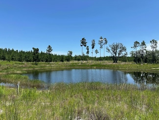 NW Camphead Rd, Altha, FL 32421