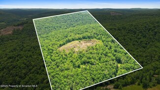3030 Liberty Park Rd, Hallstead, PA 18822