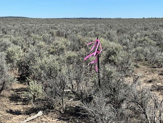 0 Browns Valley Rd Unit TL 1402 220196221, Christmasvalley, OR 97641