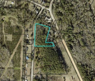 0 Sands Dr, Poulan, GA 31781
