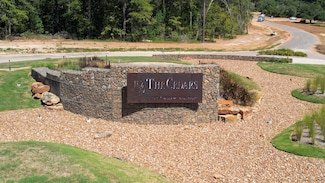 9502 Old Cedars Dr, Plantersville, TX 77363