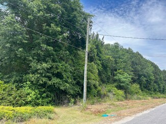 Tbd Carvers Hall Rd, Hamer, SC 29547