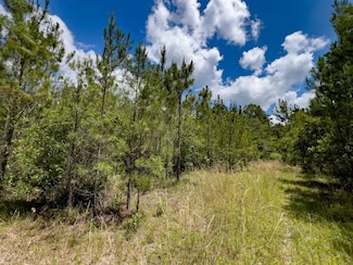 001 SE Brushy Hammock Rd, Mayo, FL 32066