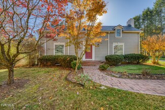 348 S Austin Springs Rd, Johnson City, TN 37601