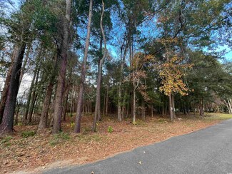 Lot 13 Comanche Dr, Georgetown, SC 29440