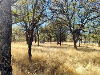 014 Marie Ln, Rackerby, CA 95972
