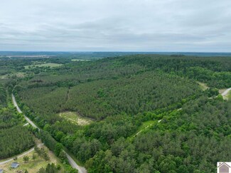000 Cedar Grove Rd Unit (Livingston Co. KY 3, Salem, KY 42078