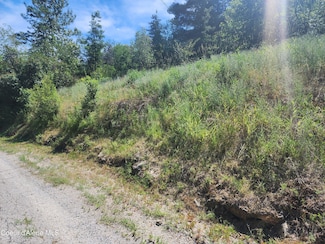 NKA Stahl St, Kellogg, ID 83837