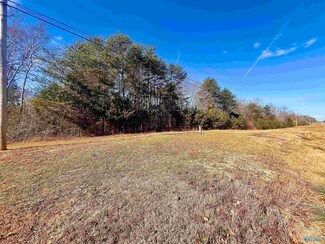 1.44 Acres Alabama 75, Flat Rock, AL 35966