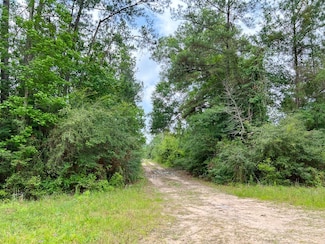 0 Old Arco Rd Unit 22854799, Silsbee, TX 77656