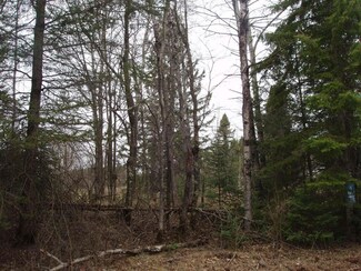 On Wisconsin St, Morse, WI 54527