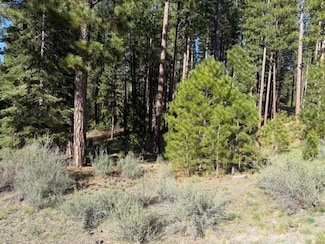 691 Redtail Loop Unit LOT 42 THE VISTAS AT, Clio, CA 96106