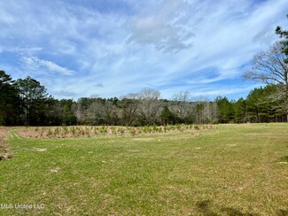 0 Mississippi 24, Liberty, MS 39645