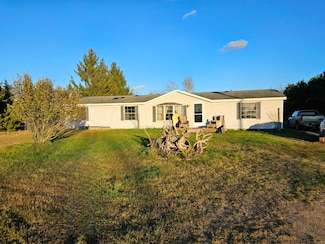 9156 50th Ave, Evart, MI 49631
