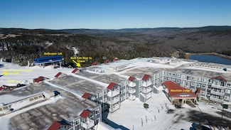 236 Mountain Ldg Ln, Snowshoe, WV 26209