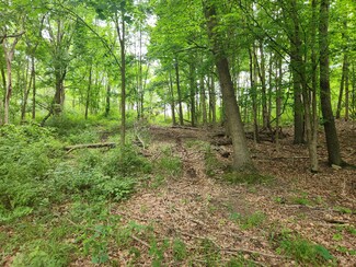 vl N Ridge Ct, Irving Township, MI 49333