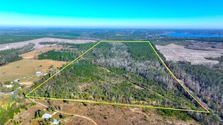 0 County Line Rd Unit LotWP001, Alford, FL 32420