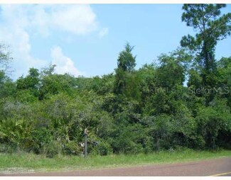 0 State Road 40 Unit O4918929, Astor, FL 32102