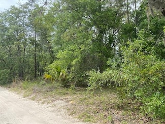 0 NE 67th St Unit MFRGC530174, Bronson, FL 32621