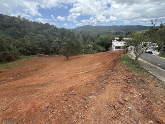 Quemados Carr Pr 106 Km 6 2, Mayaguez, PR 00680